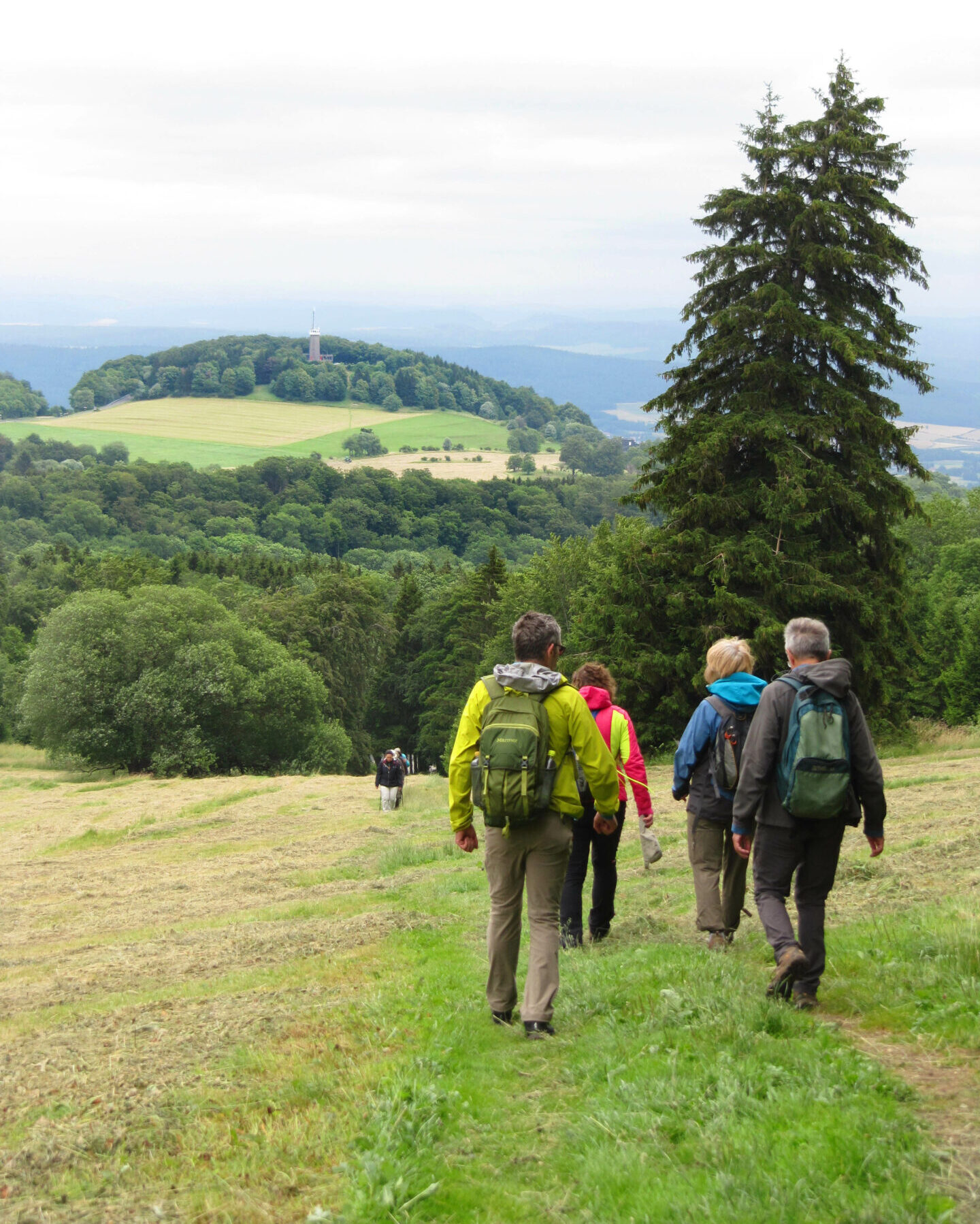 Das Naturschutzreferat unterwegs. Foto: K. Allabauer