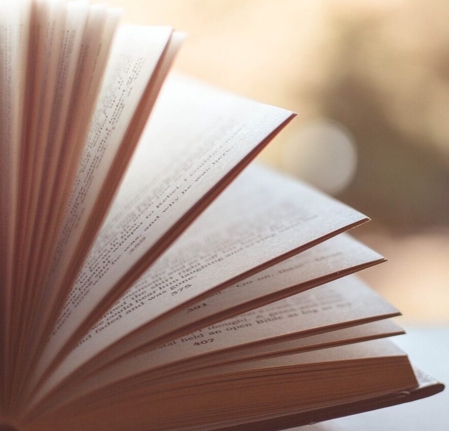 Lesenswertes gibt es in der alpinen Bibliothek des DAV Erlangen ebenso wie im Newsletter und auf der Website. Foto: Pixabay