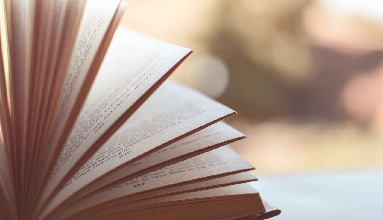 Lesenswertes gibt es in der alpinen Bibliothek des DAV Erlangen ebenso wie im Newsletter und auf der Website. Foto: Pixabay