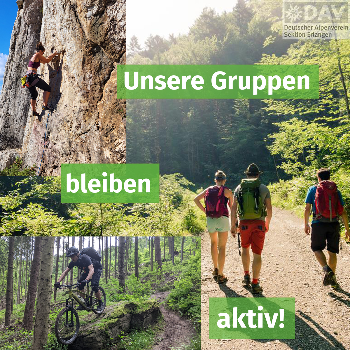 Die vielfältigen Gruppen des DAV Erlangen haben tolle Programme auf die Beine gestellt. Fotos: M. Neumann, I. Wiedemann, H. Herbig/DAV
