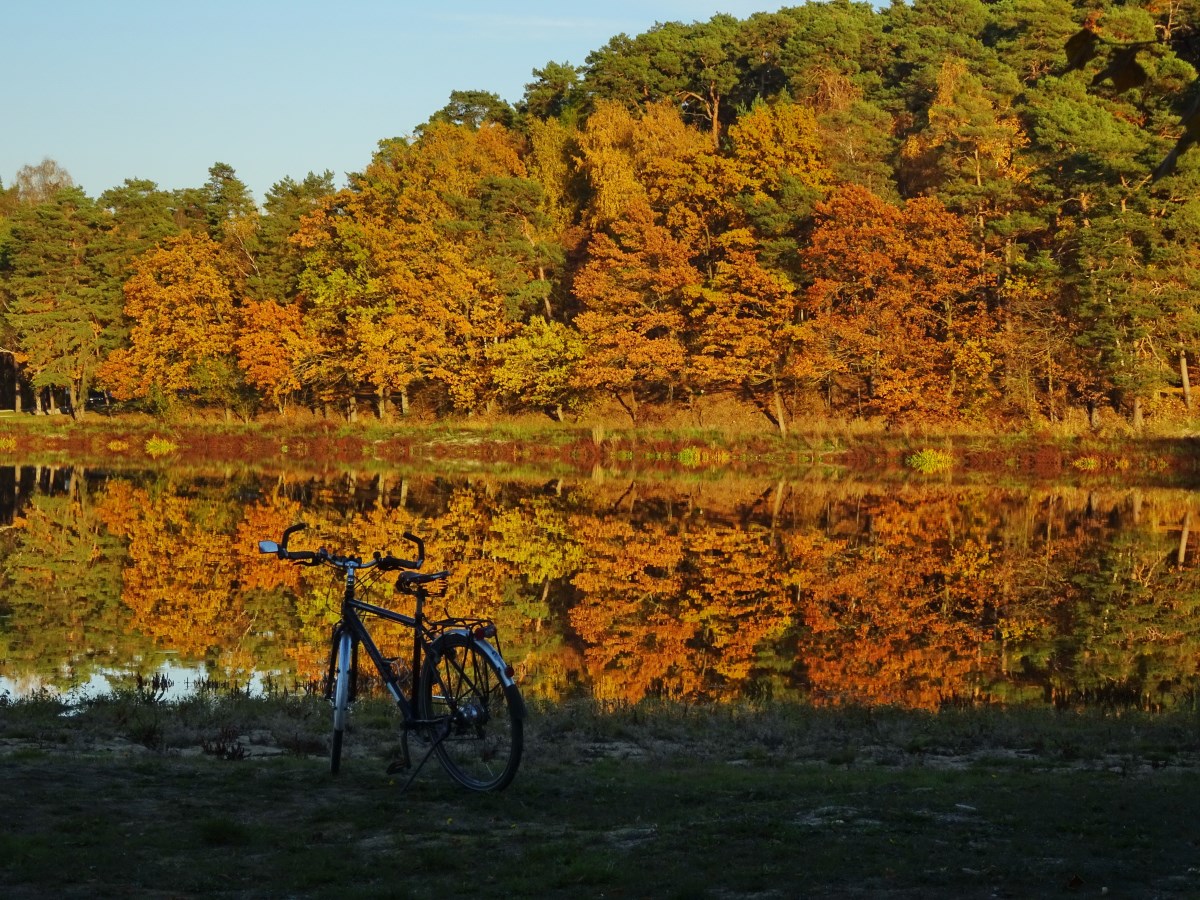 Farbspiele im Herbst. Foto: R. Ehlers